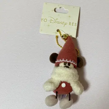 디즈니 리조트 리루리루 참 빨간색