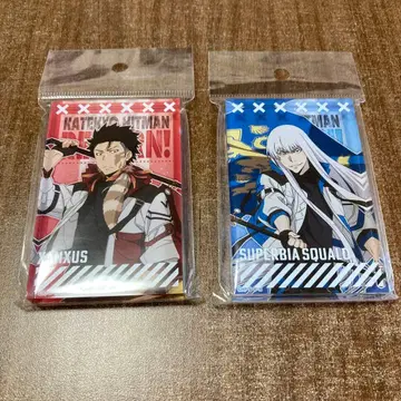 가정교사 히트맨 REBORN! 스쿠알로 XANXUS 플래그