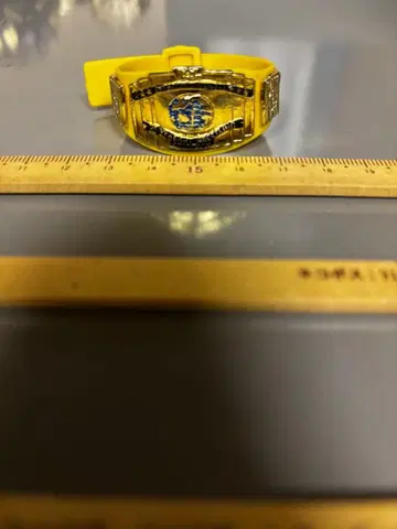 WWE 잭스제 인터컨티넨탈 챔피언 벨트 레어 컬러