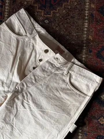 At Last 페인터 팬츠