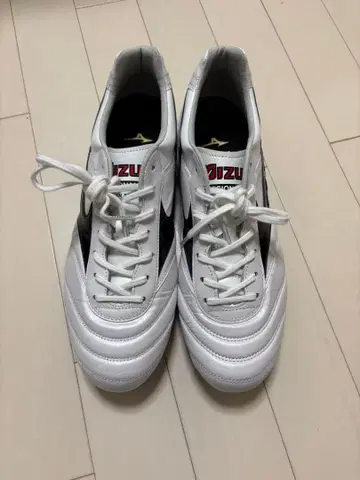 모렐리아 2 Japan 27cm