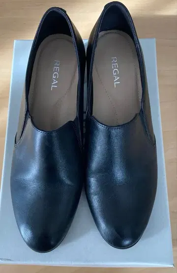 리걸, 슈티, 블랙