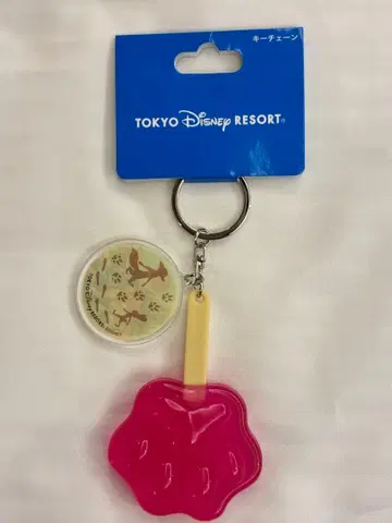 도쿄 디즈니 리조트 주토피아 아이스캔디 키체인