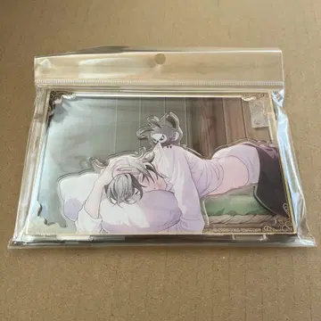 최저가 마지막 1개 NU 카니발 레이 배경 포함 아크릴 스탠드 생일