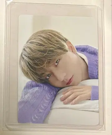 Teaflex 트레이딩 카드 나가노 료타