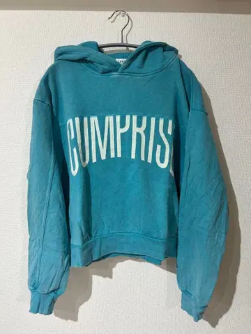 빈티지풍 후드티 프리 사이즈