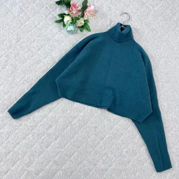 [ M ] 스웨터 터틀넥 하이넥 크롭 기장 돌먼 슬리브 겨울