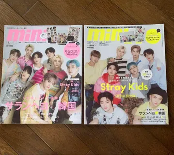 Stray Kids 잡지 mini 7월호 세트