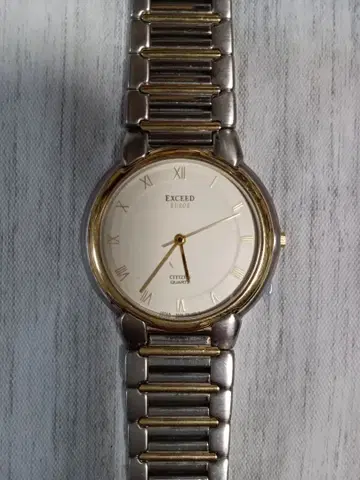 작동품 CITIZEN EXCEED EUROS 5639-60803