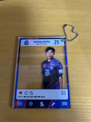 카탈레 도야마 카메다 아유무 카드형 키링