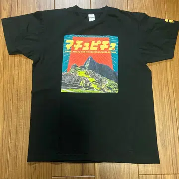 마추픽추전 t셔츠 L 사이즈