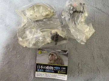 일본의 동물 캡슐 토이 북방한계선 원숭이 츠치노코