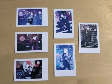 이레이스 폴라로이드