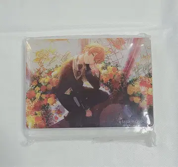 프로세카 노블 아트 준 브라이드 아키토