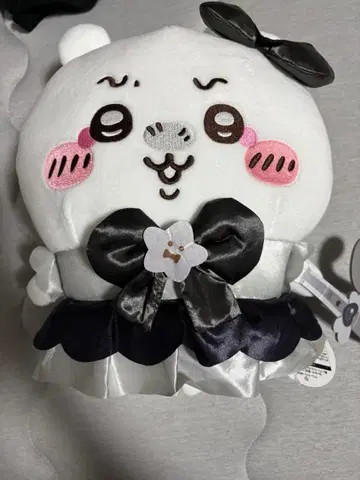 치이카와 (먼작귀)