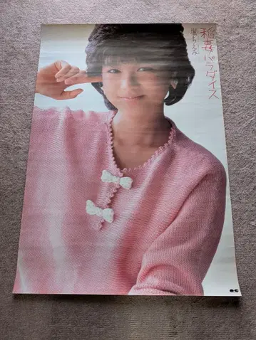 호리 치에미 [ 번개 파라다이스 ] 레코드 특전 포스터 B2 사이즈