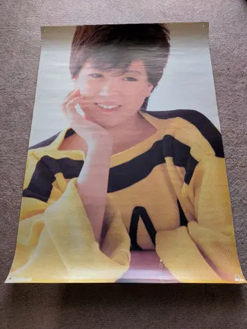 호리 치에미 레코드 특전 포스터 B2 사이즈