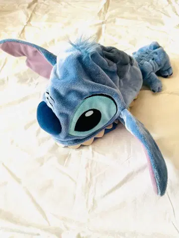 릴로 & 스티치 | 디즈니 리조트 | 팬캡 | 2개 세트