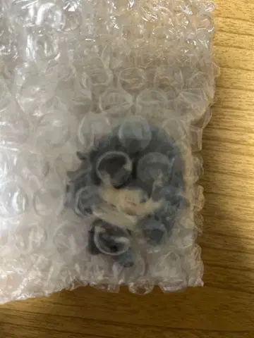 히로아카 제일복권 H상 아이자와 선생님