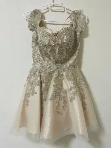 베이지 레이스 장식 미니 드레스