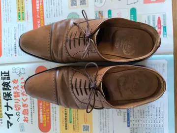 스코치 그레인 26cm