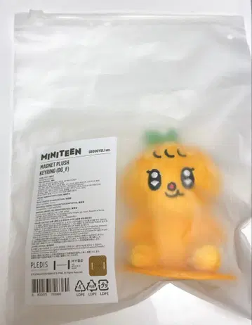 SEVENTEEN MINITEEN 승관 부규리 마그넷 키링