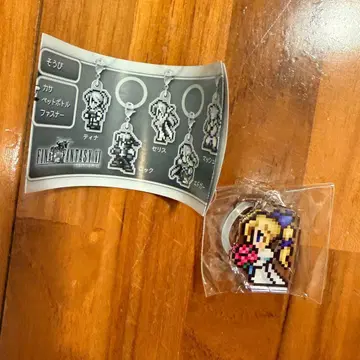 파이널 판타지 마리아 메지루시 참