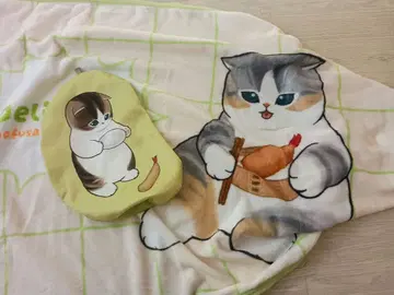 파우치 포함 담요 모프 샌드