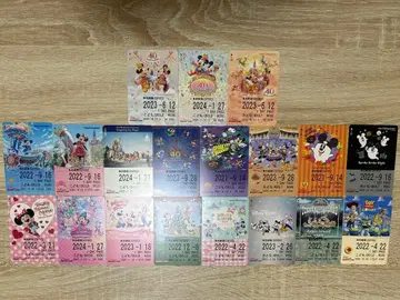 디즈니 리조트 라인 티켓 세트