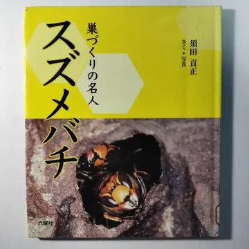 둥지 짓기의 명인 말벌