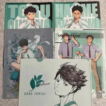 하이큐 오이카와 이와이즈미 클리어 파일