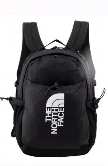 THE NORTH FACE 백팩