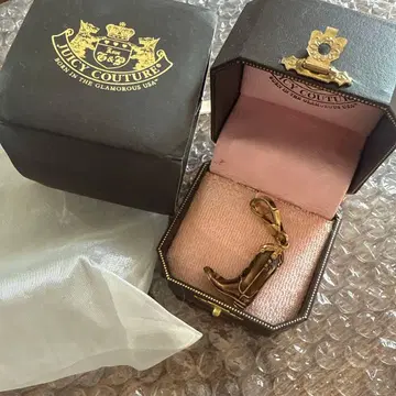 JUICY COUTURE 펜던트 탑 부츠 ( 브라운 )