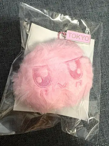 SEVENTEEN 세부치 NEW 모자 꽁지 키링 도쿄