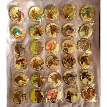 더비마 열전 캔뱃지 컴프 세트