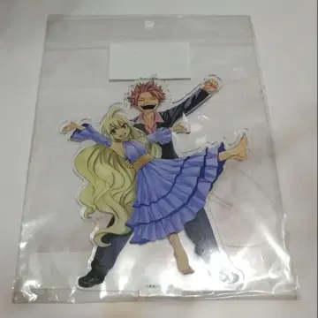 FAIRY TAIL 캐릭터 아크릴 피규어 나츠 & 메이비스