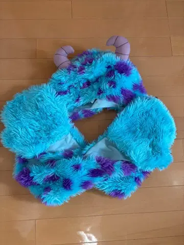 설리 몬스터 주식회사 팬캡