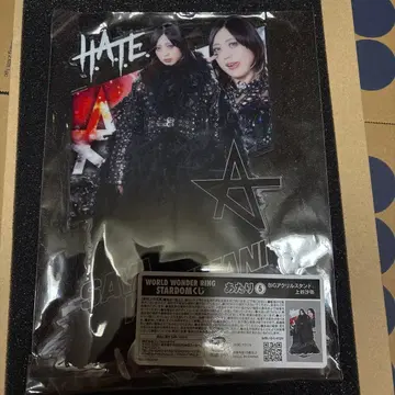 STARDOM 스타덤 복권 당첨 5 BIG 아크릴 스탠드 카미타니 사야