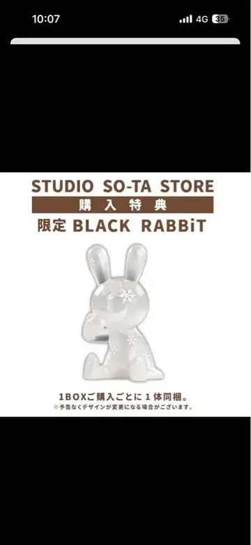 한정판 BLACK RABBIT 캡슐 토이 덤 단품