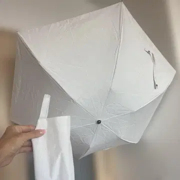 선배리어 화이트 접이식 우산