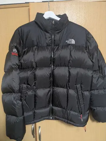 THE NORTH FACE SUMMIT SERIES 다운 자켓 100