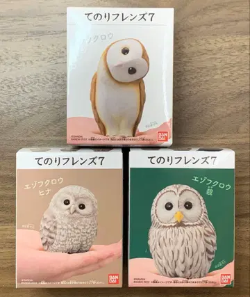 미개봉 테노리 프렌즈 7 에조올빼미 부자 멘올빼미 피규어 3개 상자 세트