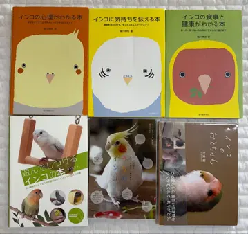 잉꼬 세트 도서