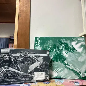 MG 1/100 알트론 건담 EW