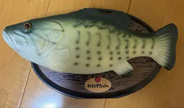 빅 마우스 빌리 버스