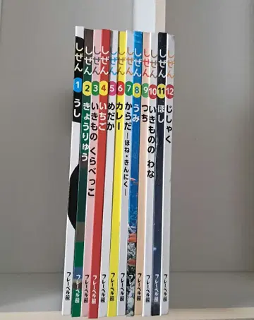 킨더북 자연 전12권 프뢰벨관