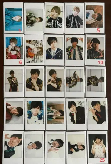 mesemoa. 폴라로이드