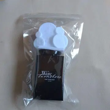 Were timeless 응원봉 라이브 투어 2024