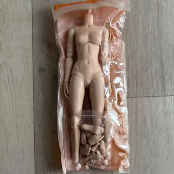 1/6 사이즈 페일 스킨