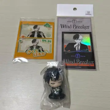 WIND BREAKER 사쿠라 하루카 묶음 판매